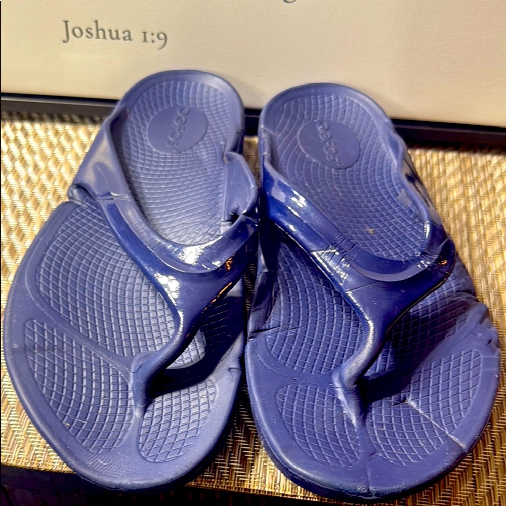 Oofos Navy Slide Sandals Women’s SZ 9 Box1